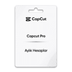 CapCut Pro
