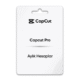 CapCut Pro